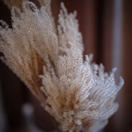 Lejlighed Luxusowy Staszica Koszalin