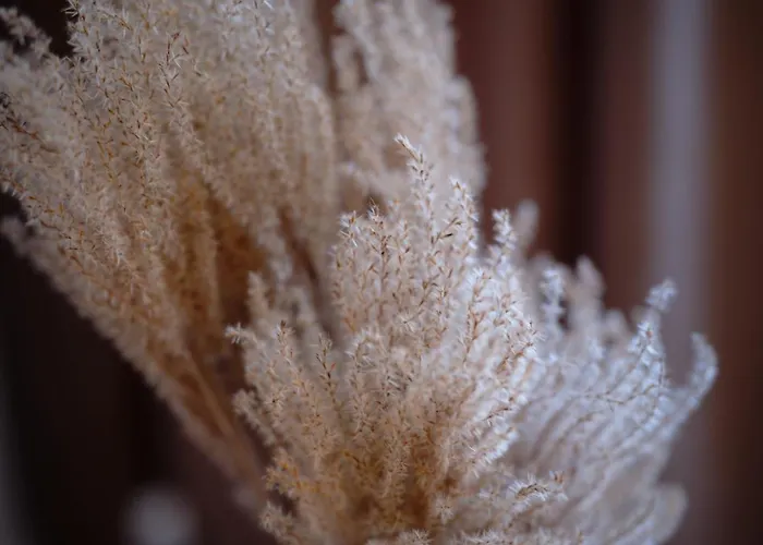 아파트 Luxusowy Staszica 코잘린